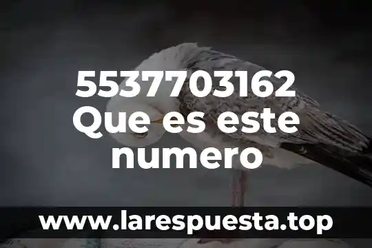 5537703162 Que es este numero