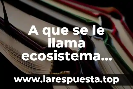 A que se le llama ecosistema que es un individuo