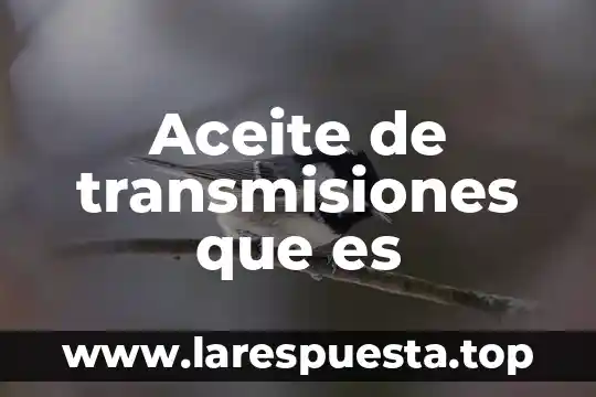 Que es numero de tarjeta bancarian iban 3 Aceite de transmisiones que es