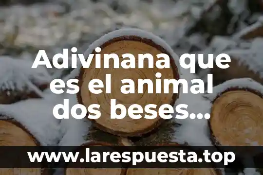 Adivinana que es el animal dos beses animal