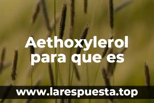Aethoxylerol para que es