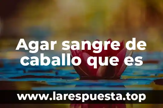 Para que es el analisis de sangre mg 5 Agar sangre de caballo que es