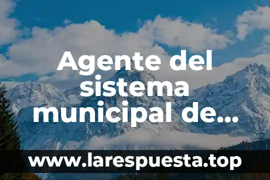 Agente del sistema municipal de transporte que es