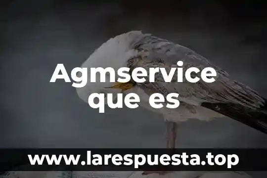 Que es la cultura de elite yahoo 3 Agmservice que es
