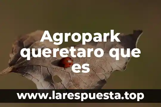 Qué es registro contable con objetivo 8 Agropark queretaro que es
