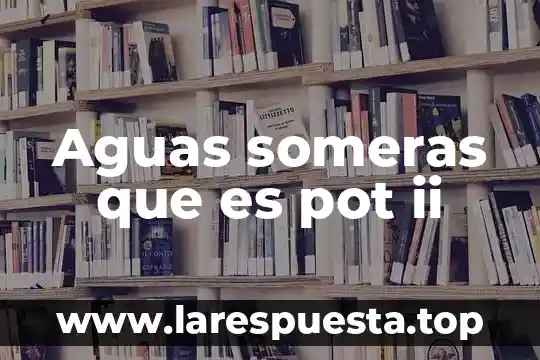 Que es derecho administrativo ii 5 Aguas someras que es pot ii