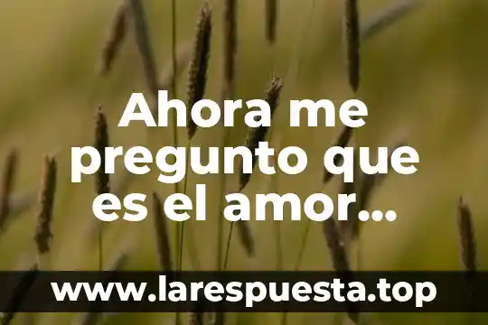 Pero se lo que es el amor forrest gump 4 Ahora me pregunto que es el amor esperarte amarte