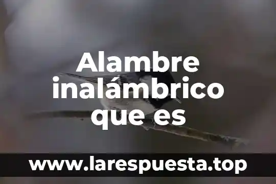 Que es rectificador monofásico controlado de onda completa 8 Alambre inalámbrico que es