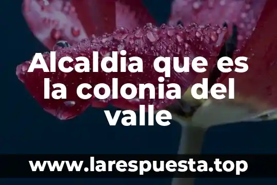 Yacon que es y para que sirve 7 Alcaldia que es la colonia del valle