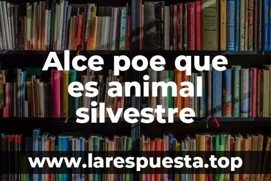Alce poe que es animal silvestre