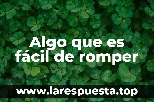 Algo que es fácil de romper