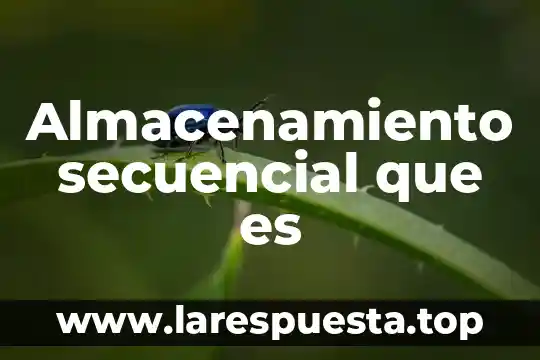 Almacenamiento secuencial que es