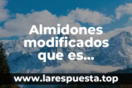 Almidones modificados que es quimicamente