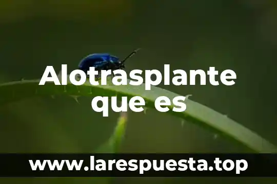 Que es trabajar de prevencion liverpool 3 Alotrasplante que es