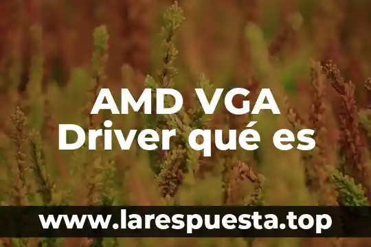 AMD VGA Driver qué es