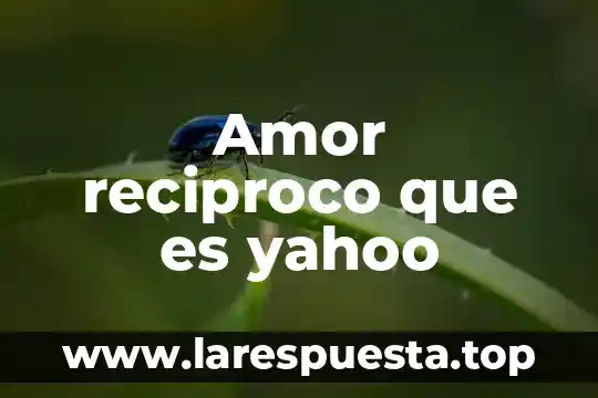 Amor reciproco que es yahoo