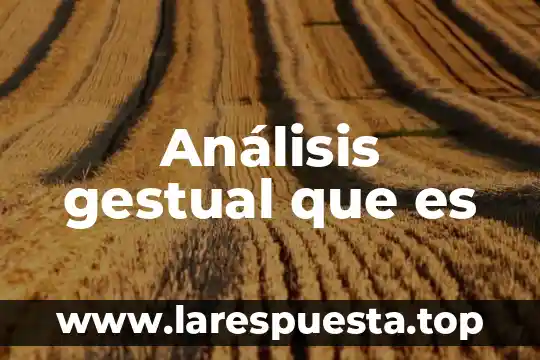 Análisis gestual que es
