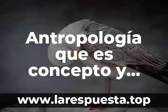 Antropología que es concepto y significado