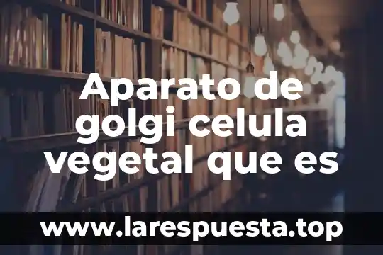Aparato de golgi celula vegetal que es