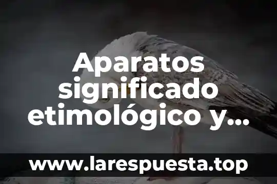 Aparatos significado etimológico y que es