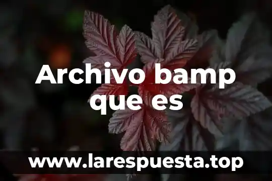Archivo bamp que es