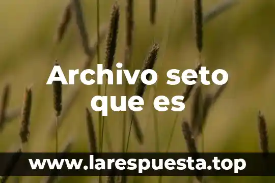 Que es un archivo posix tar archive 8 Archivo seto que es