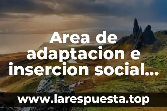 Area de adaptacion e insercion social que es