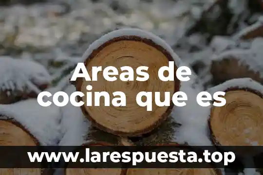 Que es una receta libro de cocina 7 Areas de cocina que es