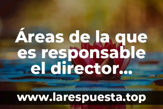 Áreas de la que es responsable el director ejecutivo