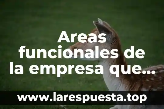Areas funcionales de la empresa que es