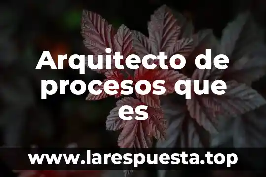 Que es ser arquitecto yahoo 3 Arquitecto de procesos que es