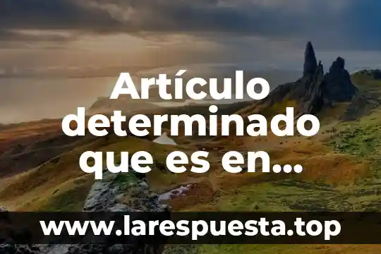Que es un articulo y como se indican 5 Artículo determinado que es en gramática