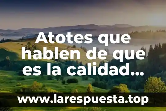 Autores que hablen que es el color 8 Atotes que hablen de que es la calidad educativa