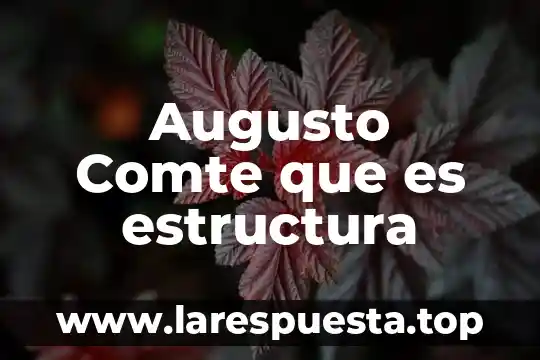 Qué es el meollo estructura 8 Augusto Comte que es estructura