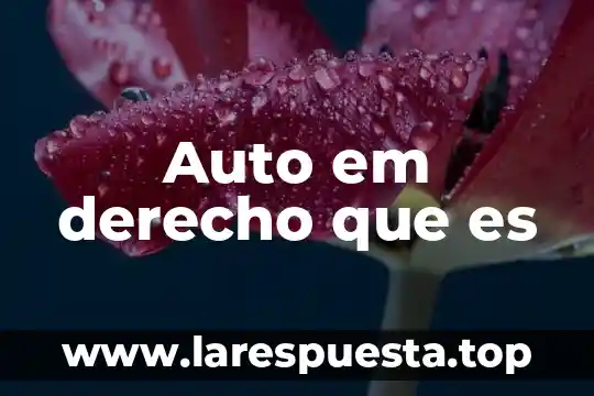 Auto em derecho que es