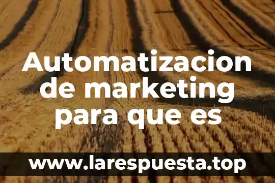 Automatizacion de marketing para que es