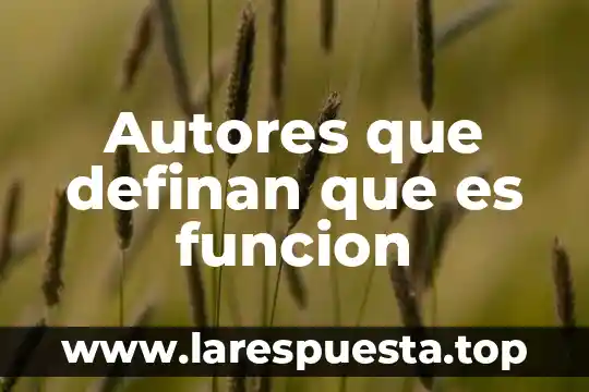 Autores que definan que es la estandarizacion en empresas gastronomicas 3 Autores que definan que es funcion