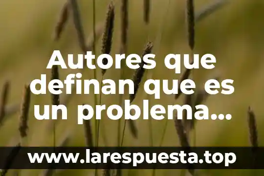 Autores que definan que es la estandarizacion en empresas gastronomicas 8 Autores que definan que es un problema psicologicos