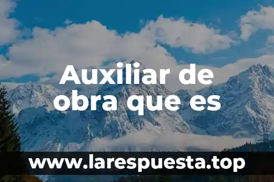 Auxiliar de obra que es