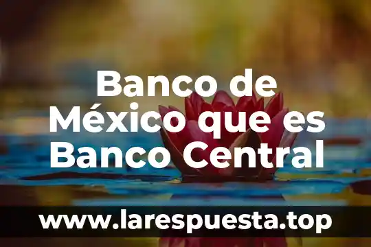 Banco de México que es Banco Central
