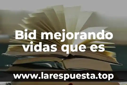 Bid mejorando vidas que es