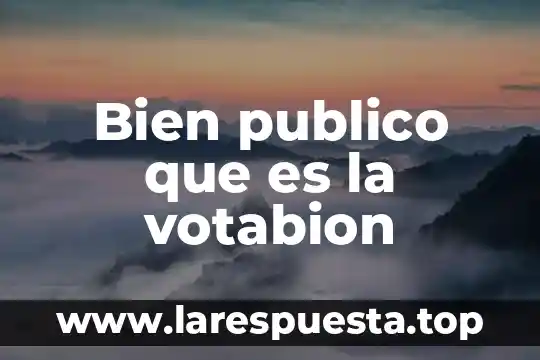 Que es un bien un producto y un servicio 6 Bien publico que es la votabion