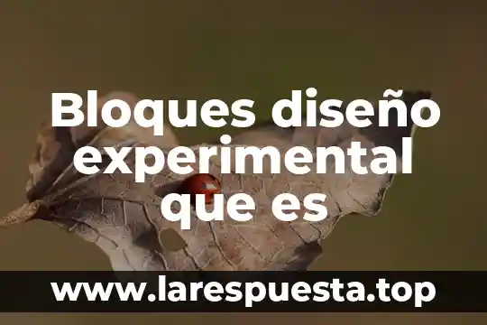 Que es diseño en bloques al azar 7 Bloques diseño experimental que es