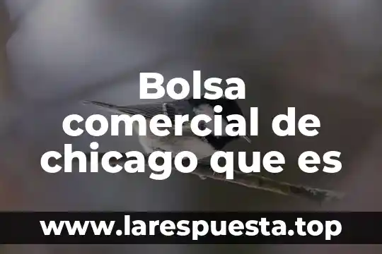 Bolsa familiar que es 6 Bolsa comercial de chicago que es
