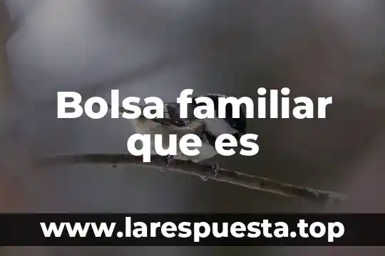 Que es la bolsa de comercio 4 Bolsa familiar que es