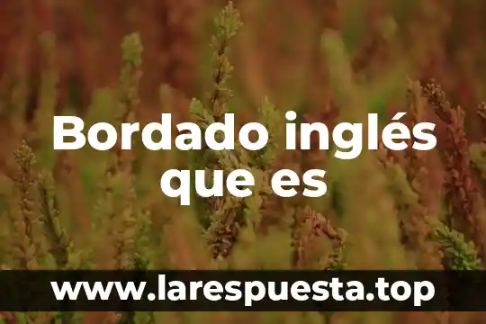 Inglés textos informativos que es 7 Bordado inglés que es