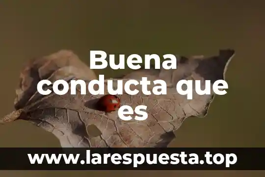 Que es un analisis funcional de la conducta 8 Buena conducta que es