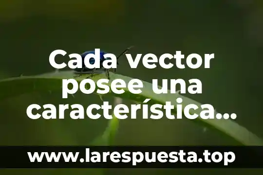 Cada vector posee una característica que es origen foto
