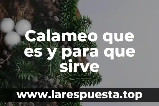 Calameo que es y para que sirve