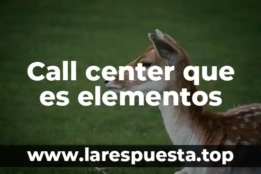 Que es el modo dpe el call of duty 5 Call center que es elementos